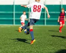 林武青岛调,研经济运行,强调履行经,B体育官网,B,Sports,足球直播,篮球赛事,体育高清,NBA直播