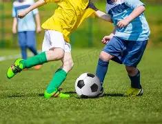 新华股份,股票动态资,B体育,B体育官网,B,Sports,足球直播,篮球赛事,体育高清,NBA直播