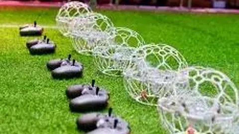 B体育 产品 083544 575