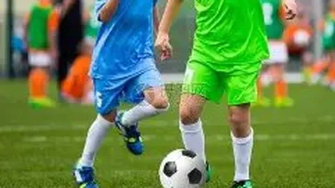 B体育 资讯 084840 g43