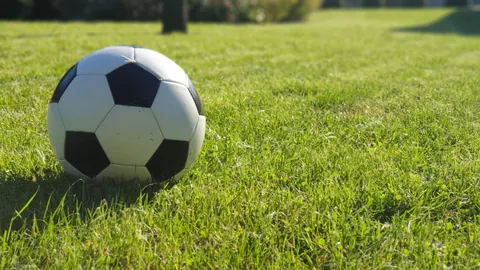 B体育 产品 083624 4f0