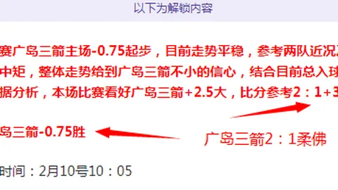 勒沃库森大胜不来梅5-0，维尔茨帽子戏法助力球队赢得德甲荣耀